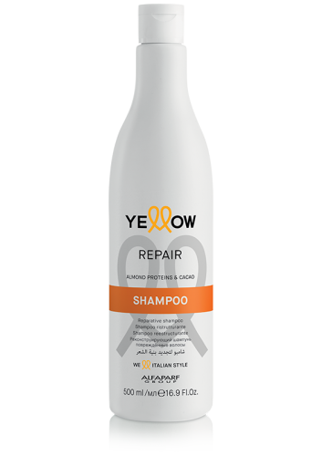 ye repair shampoo
